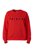 Friends Red Sweater Size 16/18